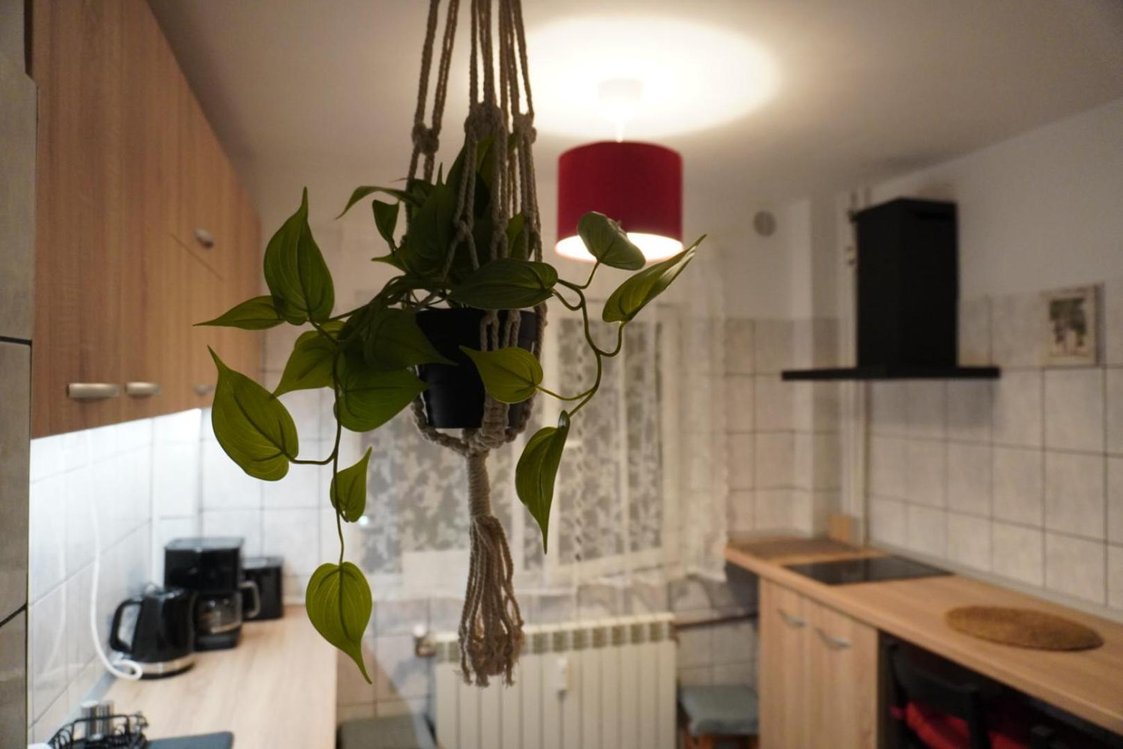 Gabry Elle's Cozy Place - Calea Mosilor * Bucureşti